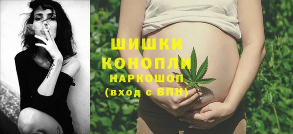 шишки Армянск