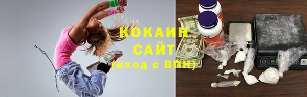 сатива Аркадак