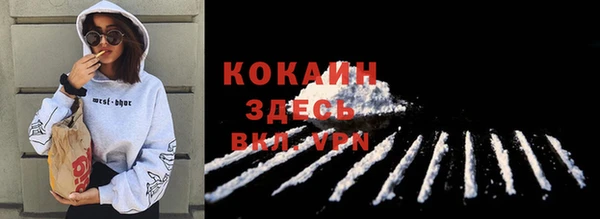 шишки Армянск