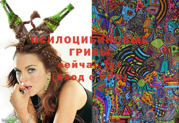 сатива Аркадак