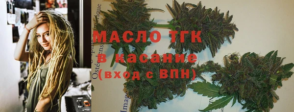 сатива Аркадак