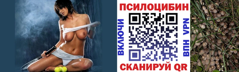 кракен Козьмодемьянск Галлюциногенные грибы MAGIC MUSHROOMS